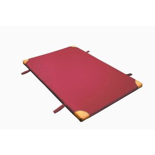 B&auml;nfer Ger&auml;tturnmatte Light Exklusiv, mit Lederecken und Trageschlaufen, 200 x 100 x 6 cm, rot