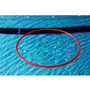 Schwimmreifen Delphin, 75 cm Durchmesser, schwimmend