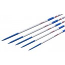 POLANIK Trainingsspeer - Klasse T - 700 g