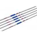 POLANIK Trainingsspeer - Klasse T - 700 g