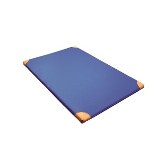 B&auml;nfer Leichtturnmatte Standard RG 35, mit Lederecken, 150 x 100 x 6 cm, blau