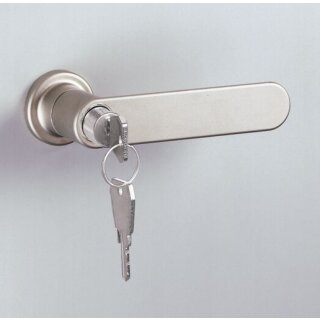 Wechselzylinder mit 2 Schl&uuml;sseln und Demontageschl&uuml;ssel f&uuml;r Design-Klinkengriff f&uuml;r C + P Schiebet&uuml;ren-Sportger&auml;teschr&auml;nke